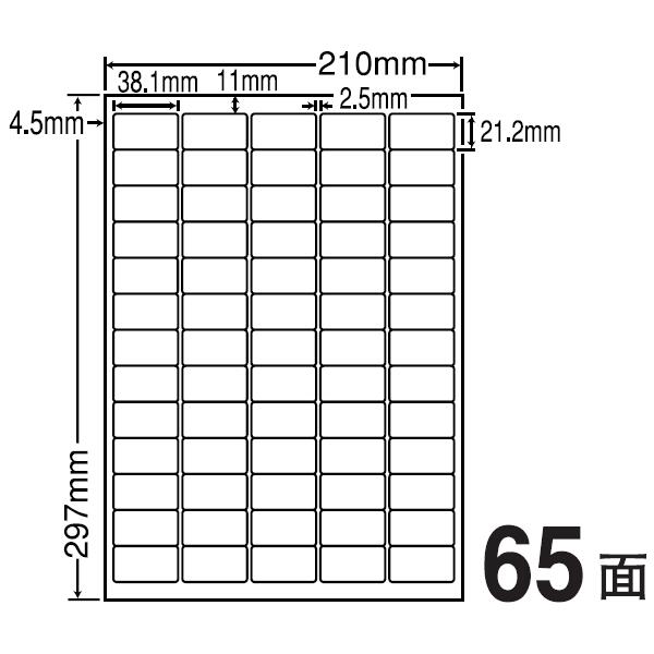 SCL65