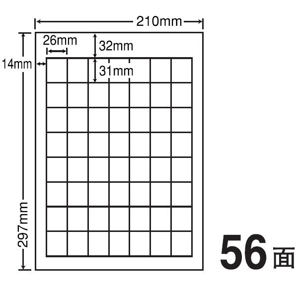 SCJ36