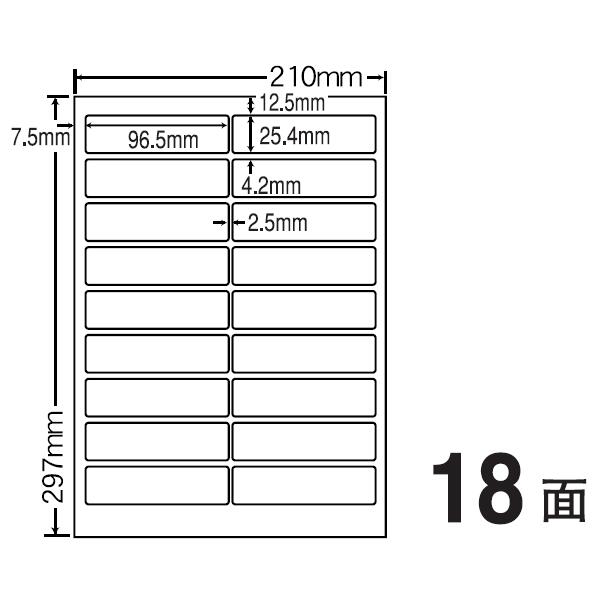 SCJ4S