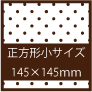正方小サイズ