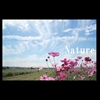 Nature�@������@�\�t�g�J�o�[�@16�y�[�W�@�ō�2,310�~
