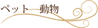 �y�b�g�E����