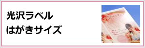 CNWFbgv^p򃉃x͂TCY